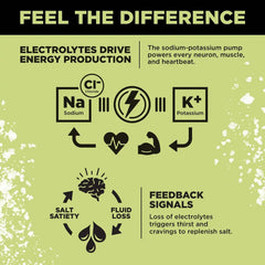 LMNT Zero-Sugar Electrolytes Drink